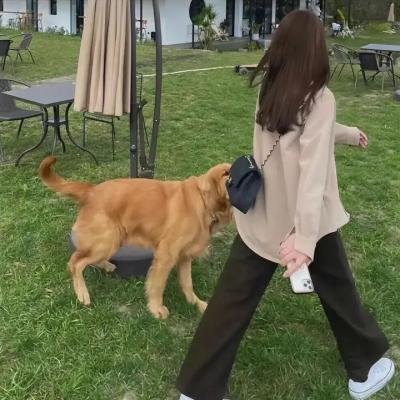 时尚恶魔的圣经