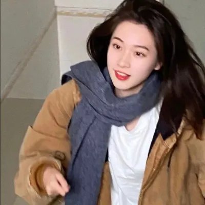 企鹅之岛:福克兰